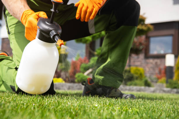 Best Residential Pest Control  in Spring Grove, MN