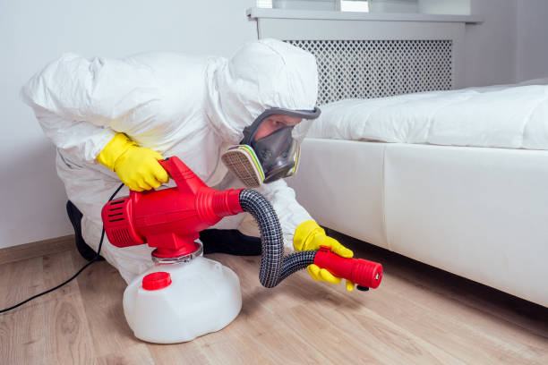Best Affordable Pest Control Services  in Spring Grove, MN