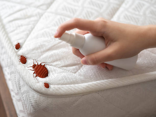 Best Pest Removal Services  in Spring Grove, MN